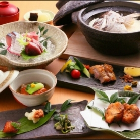 旬草 hide（ヒデ）